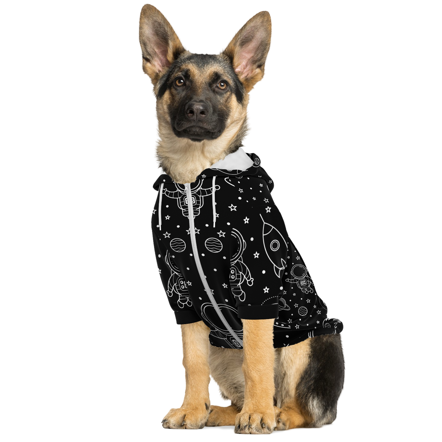 Dog sitting in black stellar hoodie with cosmic pattern and white zipper