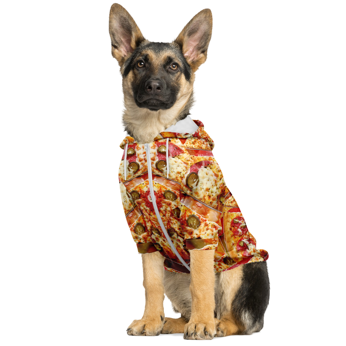 Dog sitting in cheesy pizza dog hoodie with zipper front