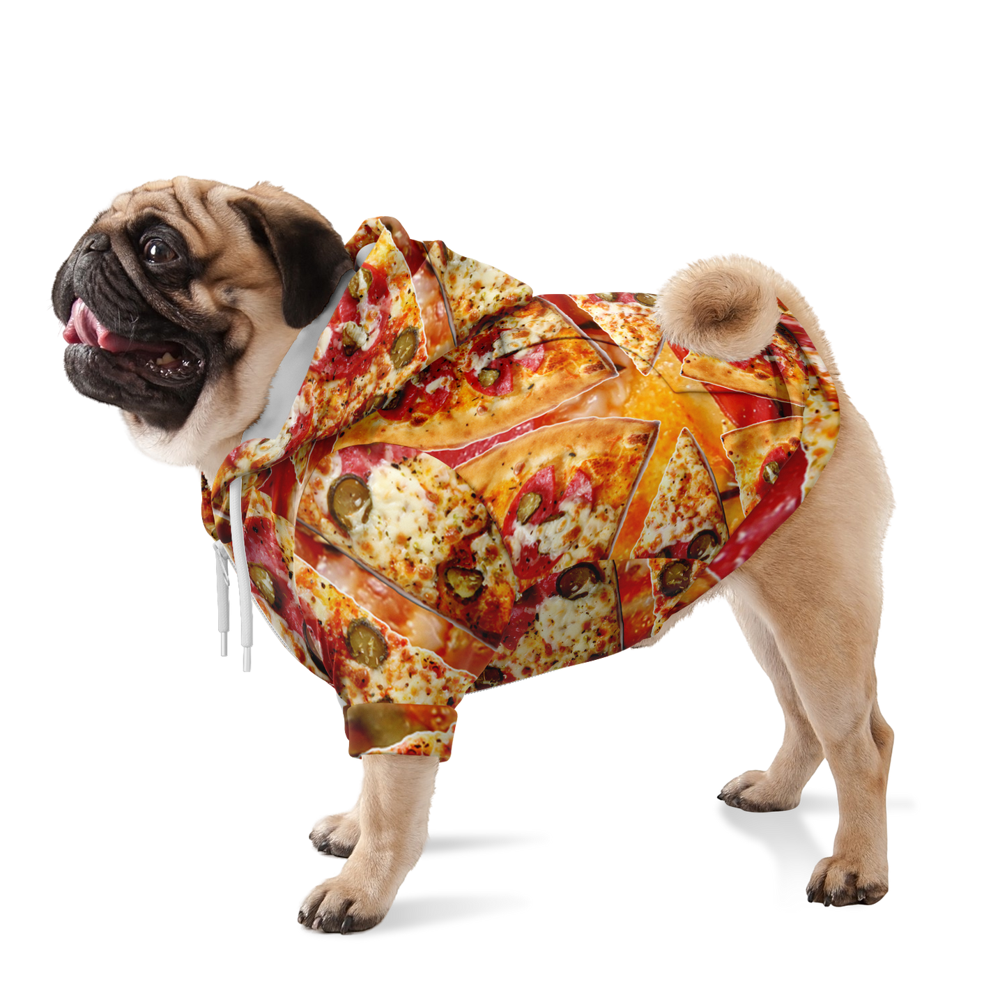 Dog standing in cheesy pizza print hoodie with all-over food design
