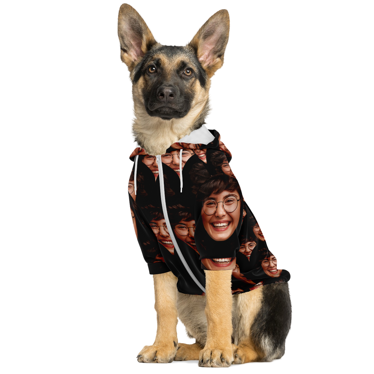 Custom dog hoodie with all-over customized design — front view sitting pose