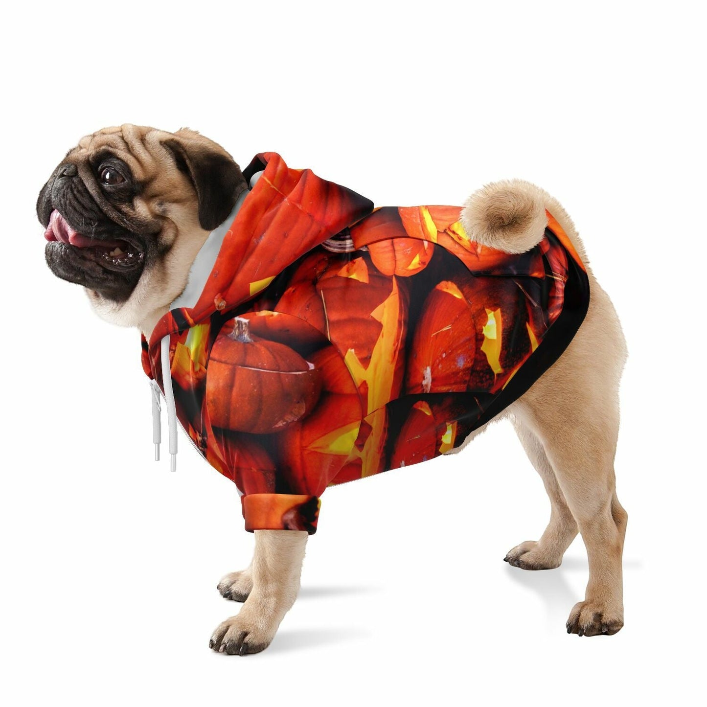Side profile of a dog wearing the orange Halloween hoodie with a pumpkin pattern.