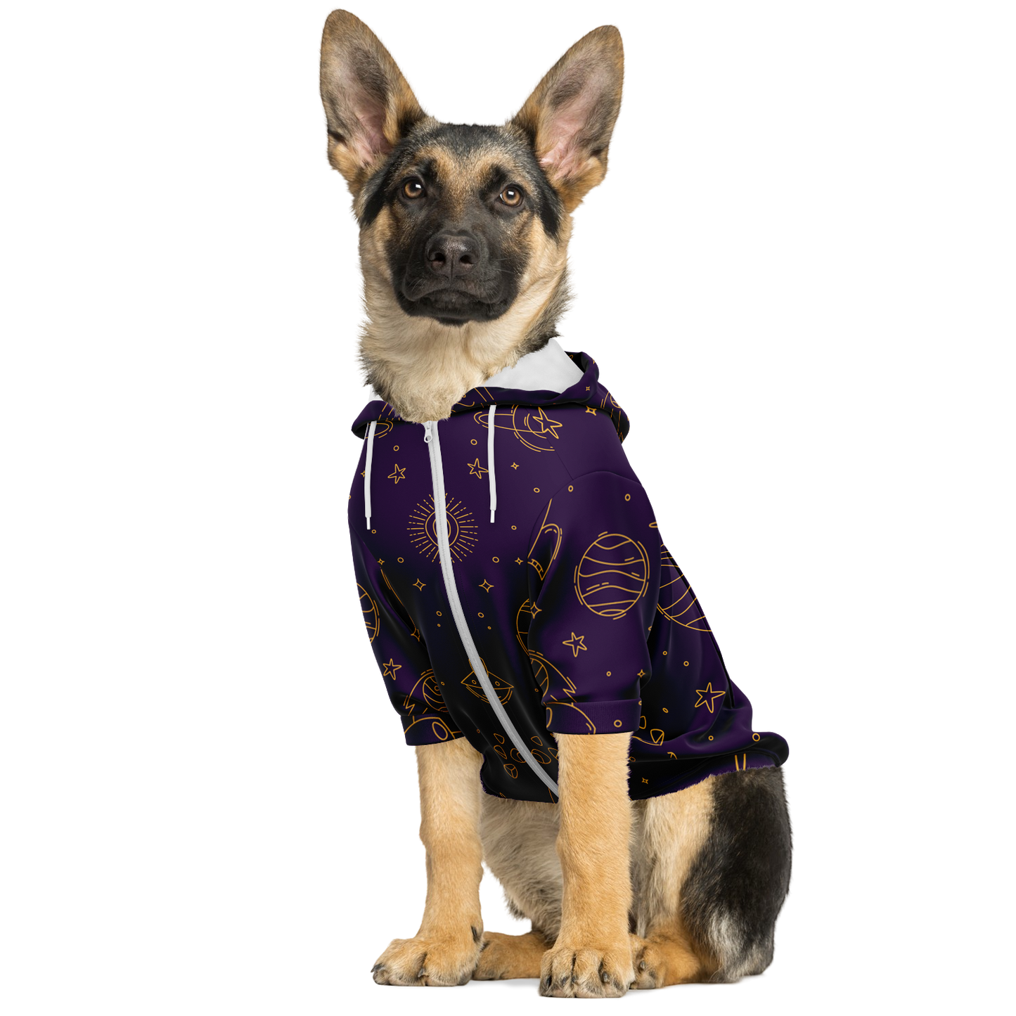 Dog sitting in purple stellar hoodie with white space-themed illustrations