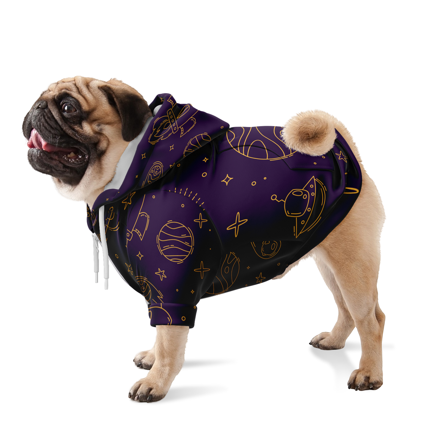 Dog standing in purple stellar hoodie with celestial design across the body