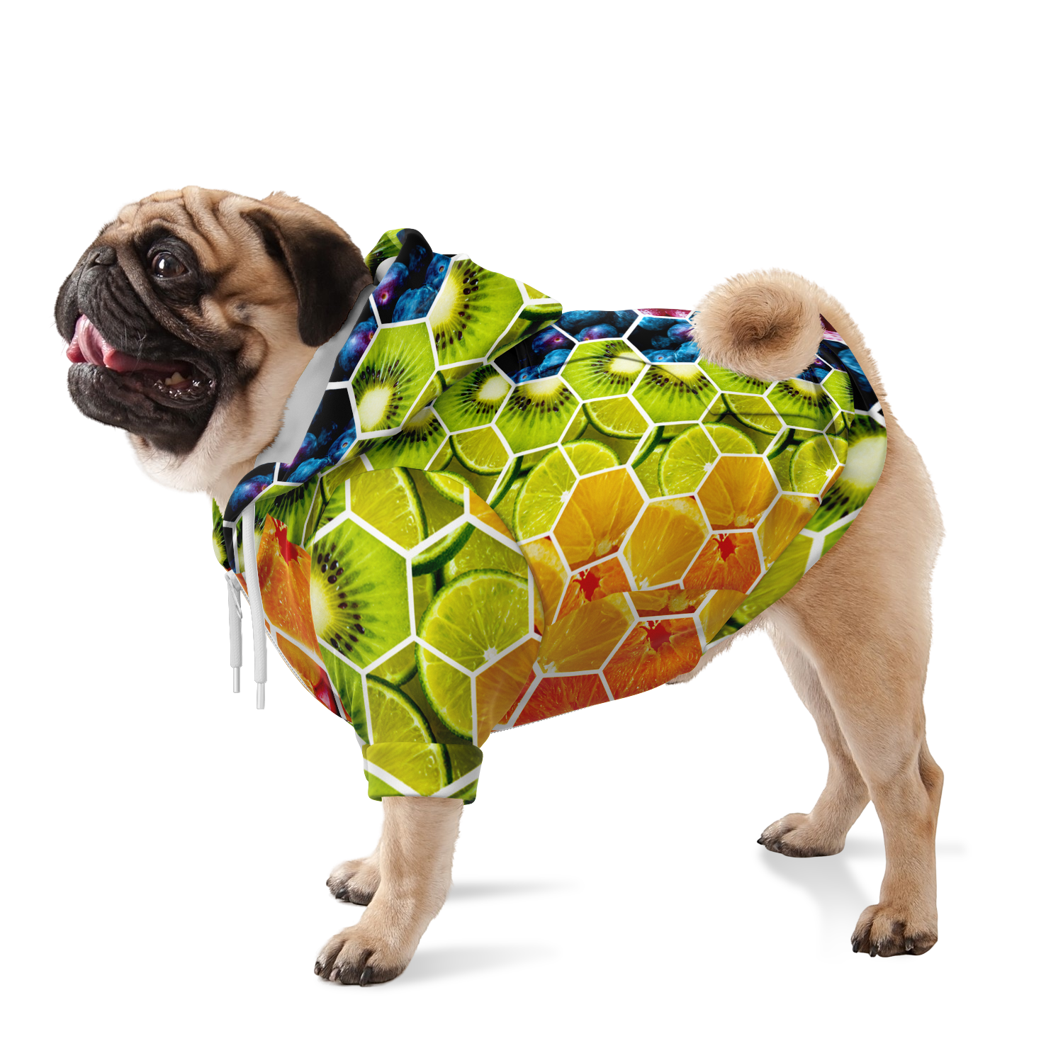 <alt.Fruity Fun Dog Hoodie - Taufaa>