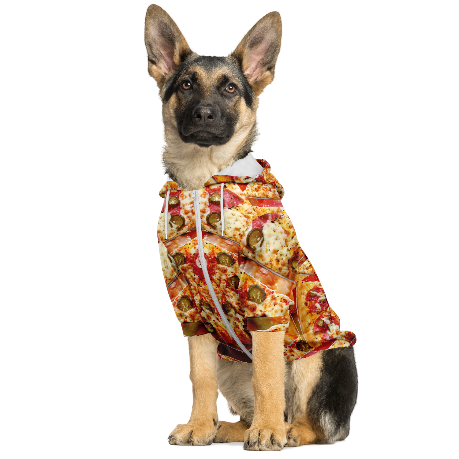 Dog sitting in cheesy pizza dog hoodie with zipper front