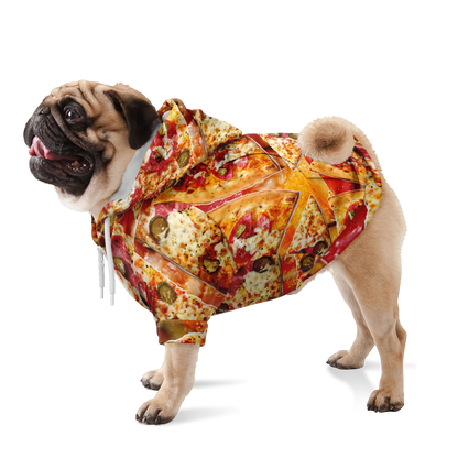 Dog standing in cheesy pizza print hoodie with all-over food design