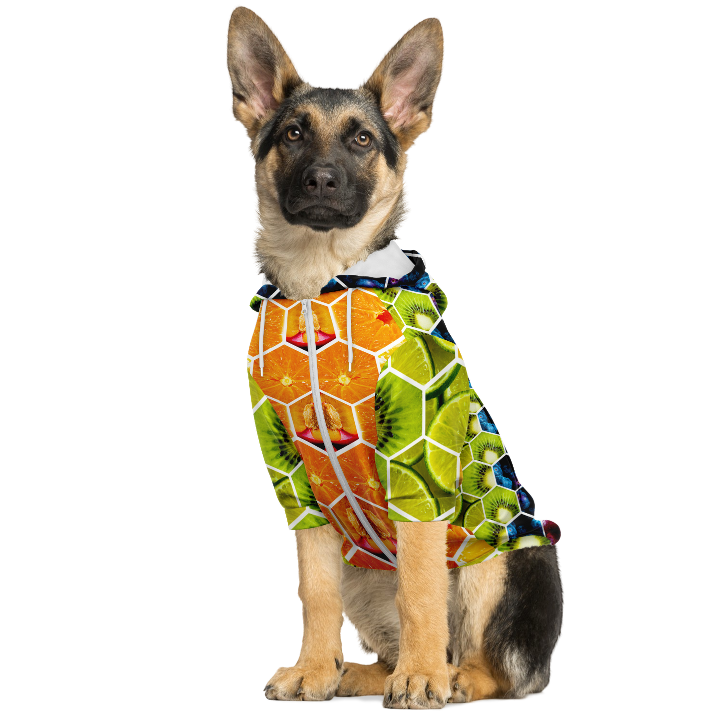 <alt.Fruity Fun Dog Hoodie - Taufaa>