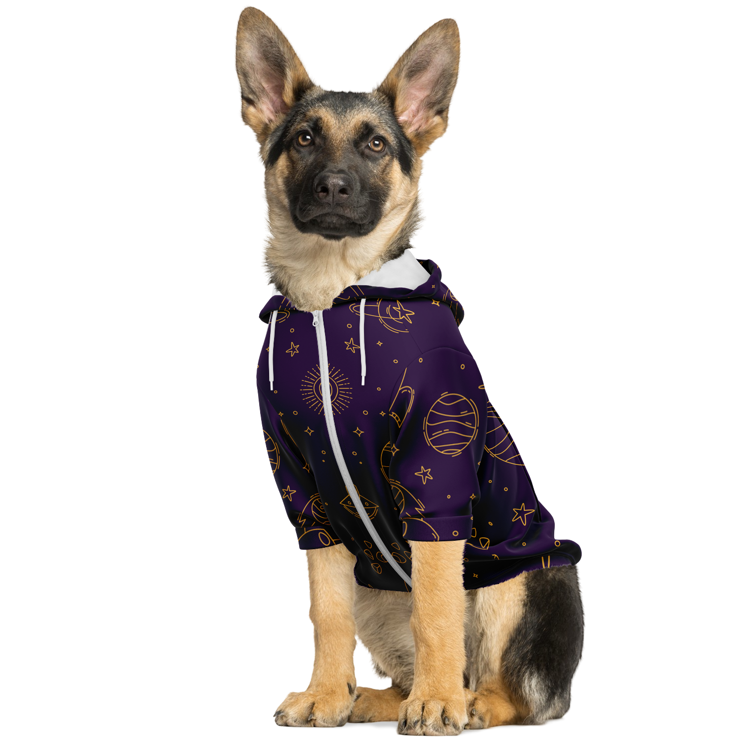 Dog sitting in purple stellar hoodie with white space-themed illustrations