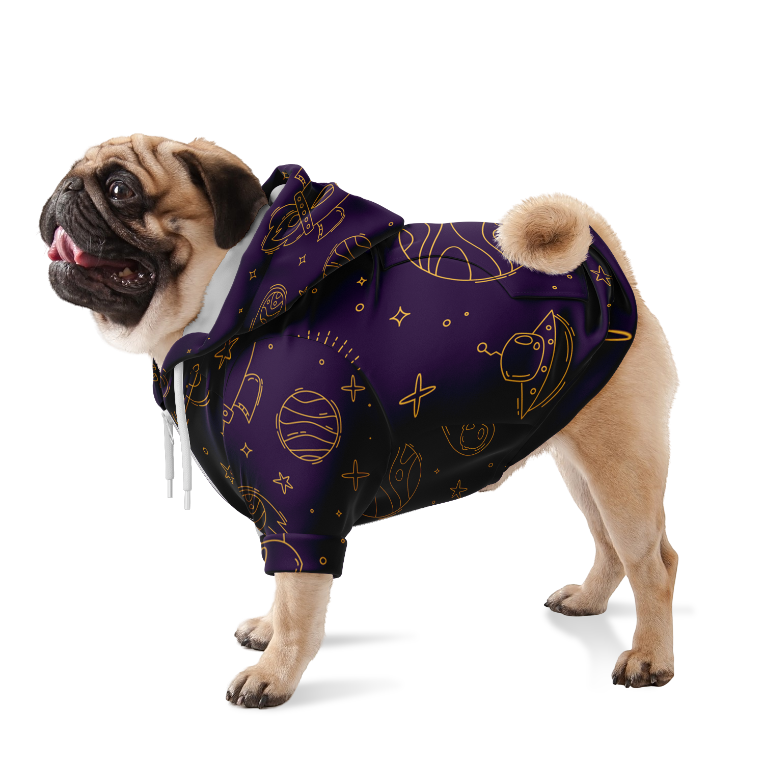 Dog standing in purple stellar hoodie with celestial design across the body
